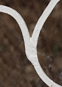 Wall_Art_Alphabet_Photography_Art_ 2538